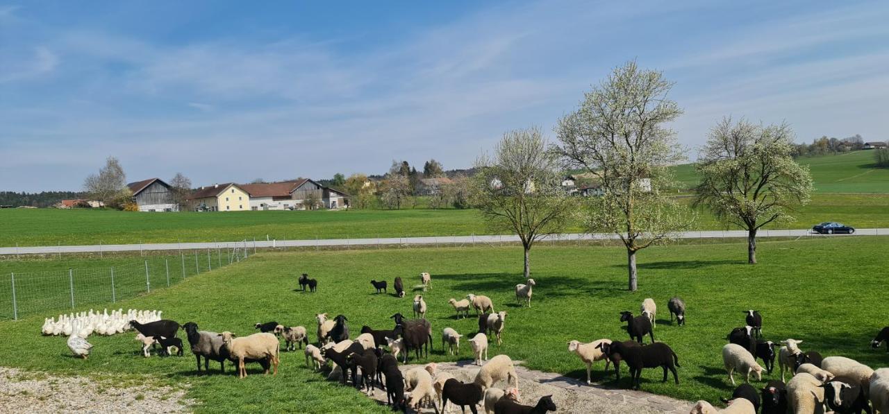 Landgasthof Entenwirt Tarsdorf Εξωτερικό φωτογραφία