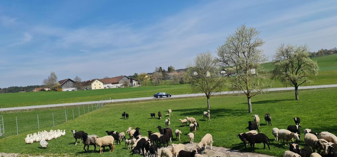 Landgasthof Entenwirt Tarsdorf Εξωτερικό φωτογραφία