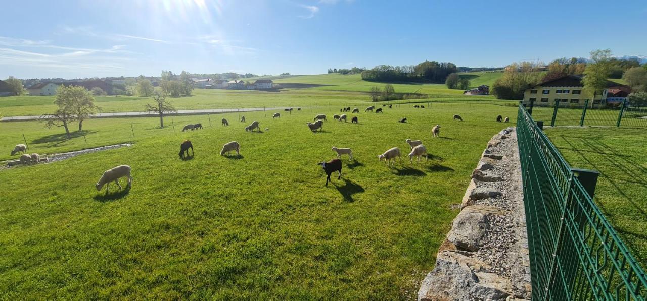 Landgasthof Entenwirt Tarsdorf Εξωτερικό φωτογραφία