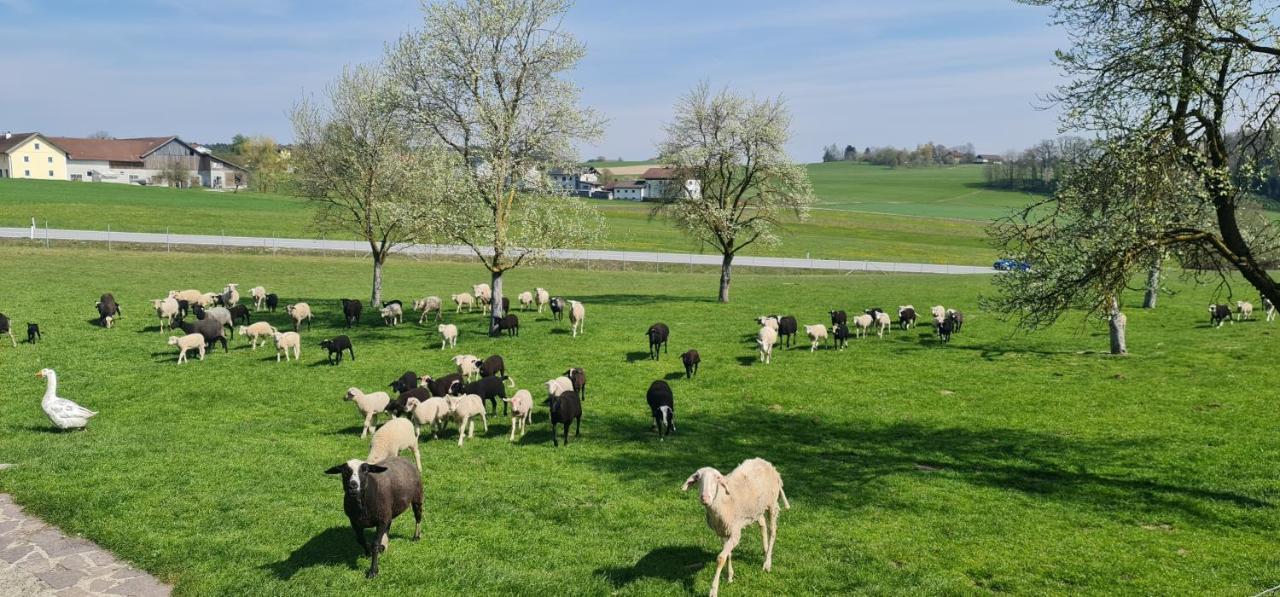 Landgasthof Entenwirt Tarsdorf Εξωτερικό φωτογραφία